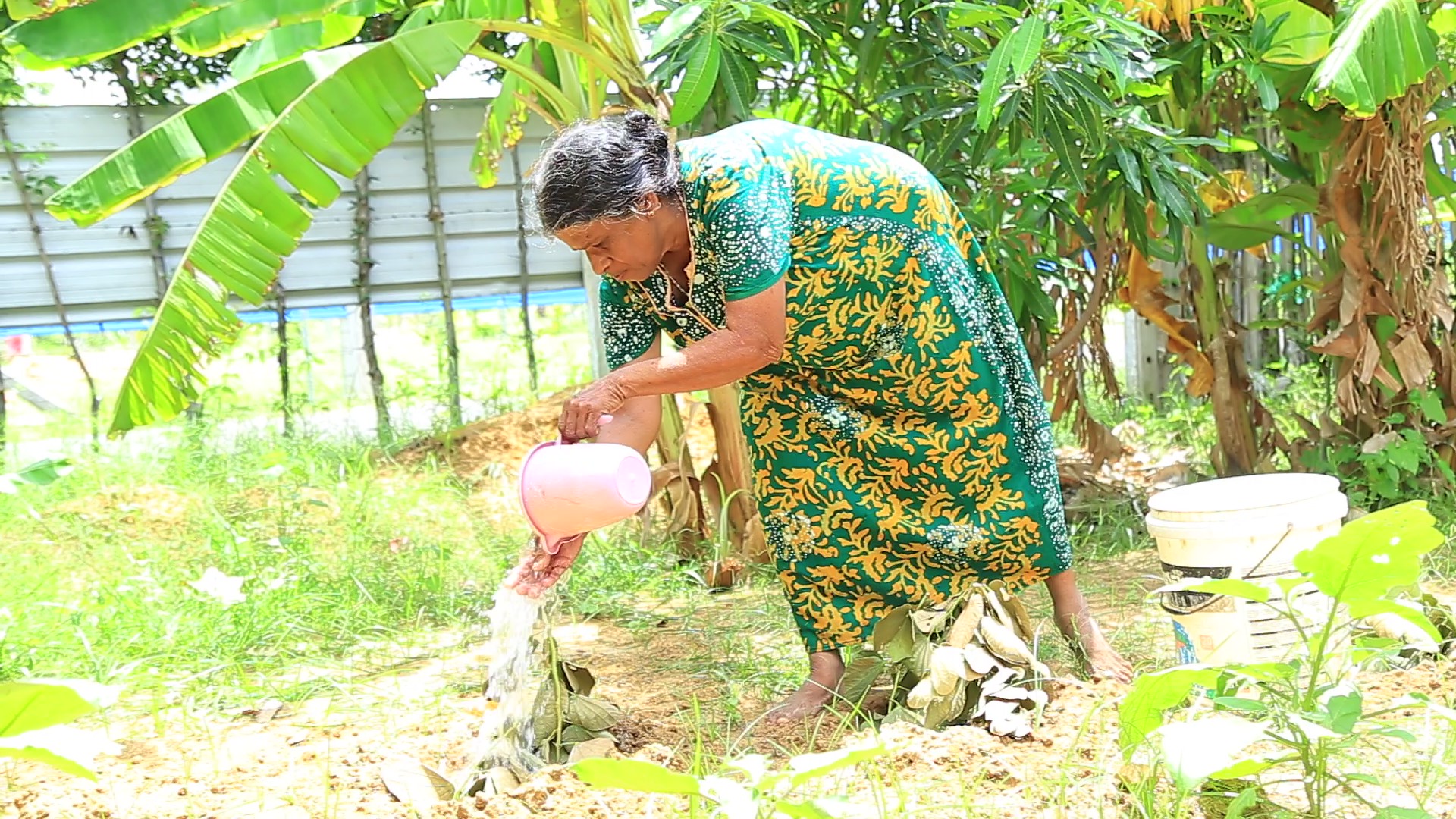 hdo sri lanka